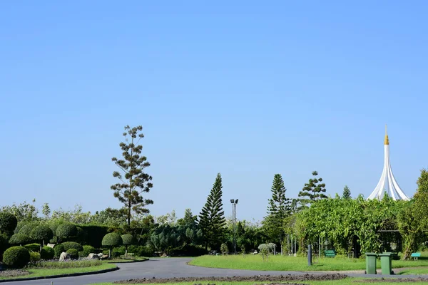 Champ Herbe Verte Dans Parc Centre Ville Avec Ciel Bleu — Photo