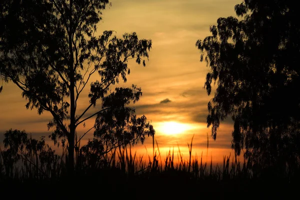 Τοπίου Ηλιοβασίλεμα Πεδίο Και Τον Ουρανό Σκούρο Clouds Sunset Στο — Φωτογραφία Αρχείου