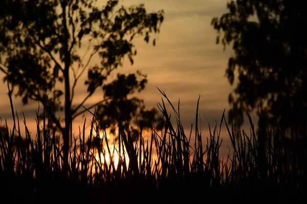 Západ Slunce Šířku Pole Obloha Tmavě Clouds Sunset Zeleném Poli — Stock fotografie