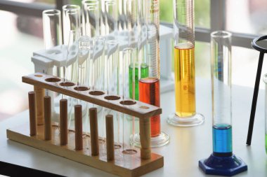 Laboratuvarda test tüpleri.