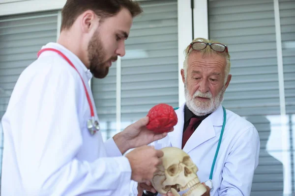 Doktor Insan Kafatası Ile Yaşlı Doktor Hakkında Fizyolojik Bilgi Için — Stok fotoğraf