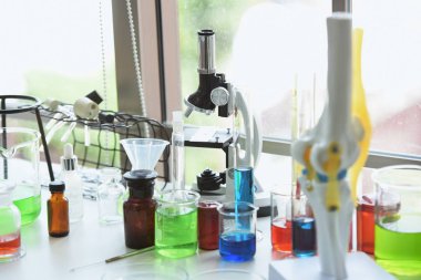 Laboratuvarda test tüpleri.