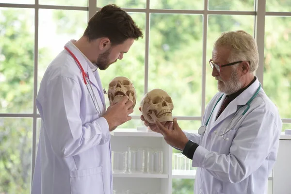 Doctor with human skull.The old doctor explained about the physiological knowledge to the young doctor.Doctor man working and using skull with plastic brain model together at hospital