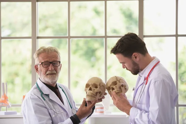 Doctor with human skull.The old doctor explained about the physiological knowledge to the young doctor.Doctor man working and using skull with plastic brain model together at hospital