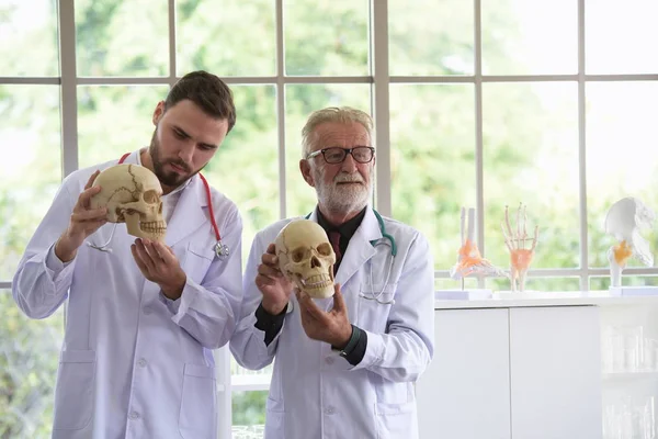 人类头骨医生老医生向年轻的医生解释了生理知识 医生在医院一起工作和使用头骨与塑料大脑模型 — 图库照片