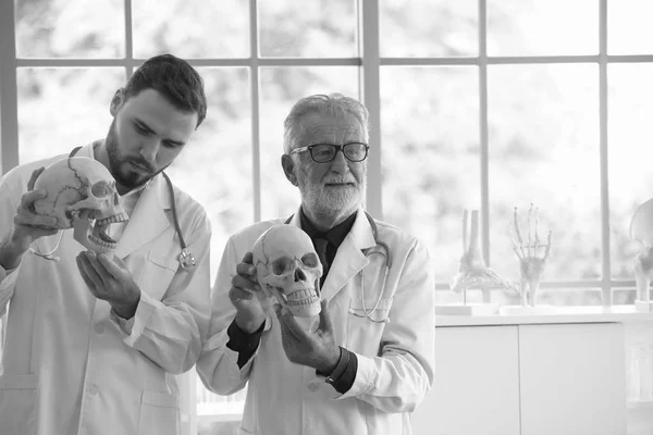 Doctor with human skull.The old doctor explained about the physiological knowledge to the young doctor.Doctor man working and using skull with plastic brain model together at hospital