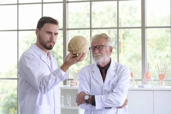 Doctor with human skull.The old doctor explained about the physiological knowledge to the young doctor.Doctor man working and using skull with plastic brain model together at hospital