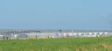 Suvarnabhumi Uluslararası Havaalanı, Tayland, at varış turist otel 9 Ekim 2018 binmeden önce çeşitli taşıyıcılar bir göz atın.