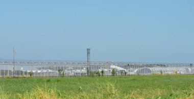 turist varış Suvarnabhumi Uluslararası Havaalanı, bankak Tayland, otel üzerinde 22 Kasım 2018 binmeden önce çeşitli taşıyıcılar bir göz atın.