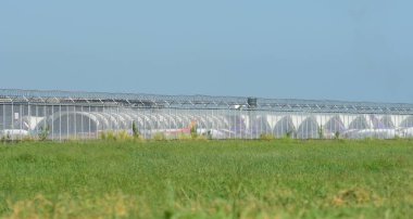 turist varış Suvarnabhumi Uluslararası Havaalanı, bankak Tayland, otel üzerinde 22 Kasım 2018 binmeden önce çeşitli taşıyıcılar bir göz atın.