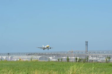 turist varış Suvarnabhumi Uluslararası Havaalanı, bankak Tayland, otel üzerinde 22 Kasım 2018 binmeden önce çeşitli taşıyıcılar bir göz atın.