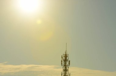 Domates ve kızartma sebze ile servis Izgara Bonfile etli kalın sulu bölümlerini lezzetli Sağlıklı ızgara yağsız Orta nadir sığır eti biftek kısmını kesti