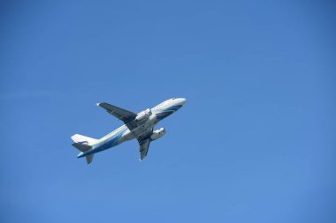 Güzel çiçekler ve çim doğada. Güneşli bir günde. Güzel sarı ve turuncu çiçekli bahar arka plan.