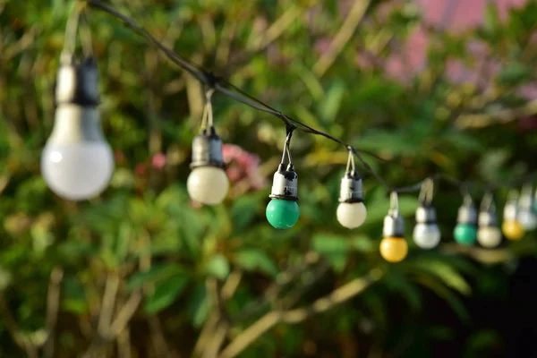 light bulbs hanging on rope in garden