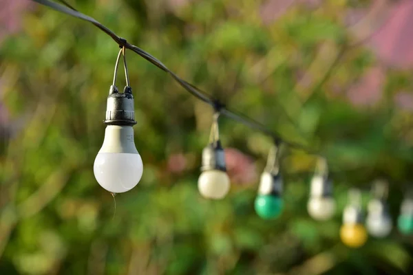 light bulbs hanging on rope in garden