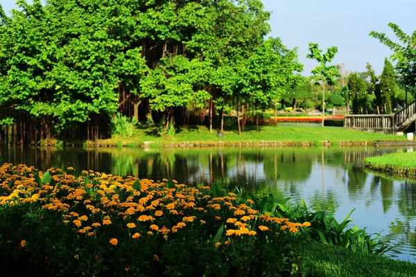 색상과 종류의 Suanluang 아시아 Thailandflower 정원에서 파빌리온과 나무의 태국에 — 스톡 사진