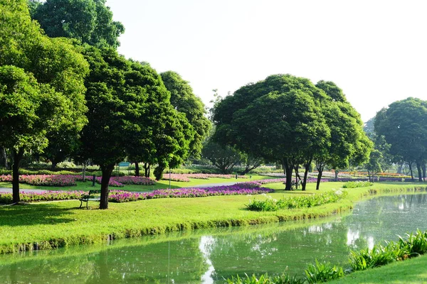 Public Park Suanluang Rama Asia Thailandflower Tree Gardens Various Colors — Stock Photo, Image