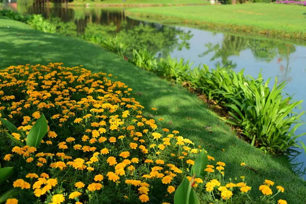 The gardener is watering the flowers at the park at Long 9 Park. Bangkok ThailandThe beautiful flower garden in Bangkok\'s big city park