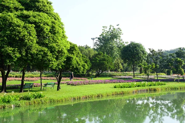 정원사는 공원에서 공원에서 급수입니다 방콕의 공원에서 Thailandthe — 스톡 사진