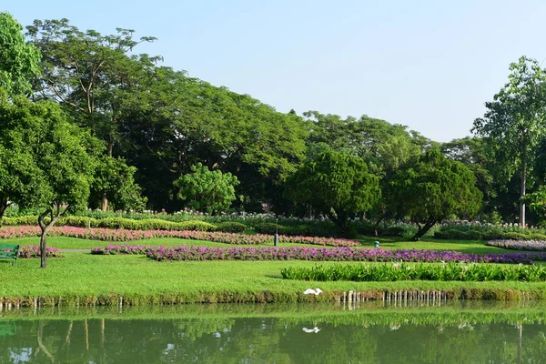 Publiczny Park Gardens Suanluang Rama Asia Thailandflower Drzewa Różnych Kolorów — Zdjęcie stockowe