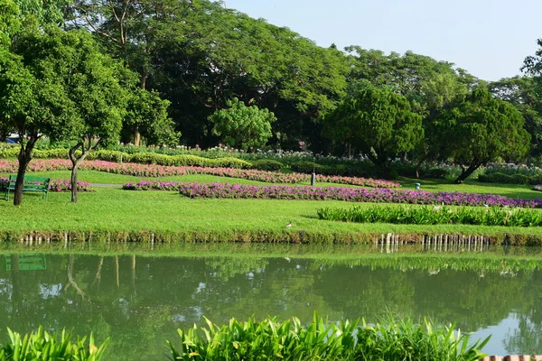 公共公园位于苏兰拉玛 亚洲泰国花卉和树木花园的各种颜色和品种 美丽的公共公园苏安朗 在曼谷泰国 美丽的日落反射亭子和树 — 图库照片