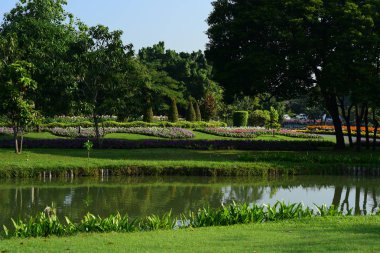 çeşitli renk ve çeşitleri Suanluang Rama 9, Asya Thailandflower ve ağacı bahçeleri genel Park'ta. Güzel bir kamu park alanı Suan Luang R.9 Bangkok Tayland, yansıma Köşk ve ağaç güzel gün batımı.