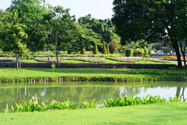 Zahradník Zalévání Květin Parku Dlouhých Parku Bangkok Thailandthe Krásná Květinová — Stock fotografie