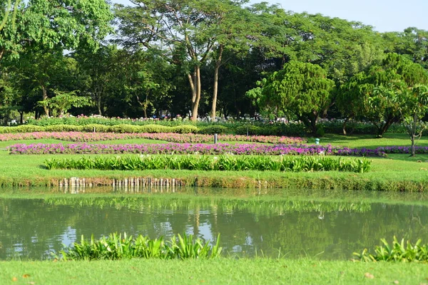 Publiczny Park Gardens Suanluang Rama Asia Thailandflower Drzewa Różnych Kolorów — Zdjęcie stockowe