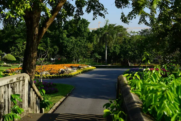 Parque Público Suanluang Rama Ásia Thailandflower Jardins Árvores Várias Cores — Fotografia de Stock