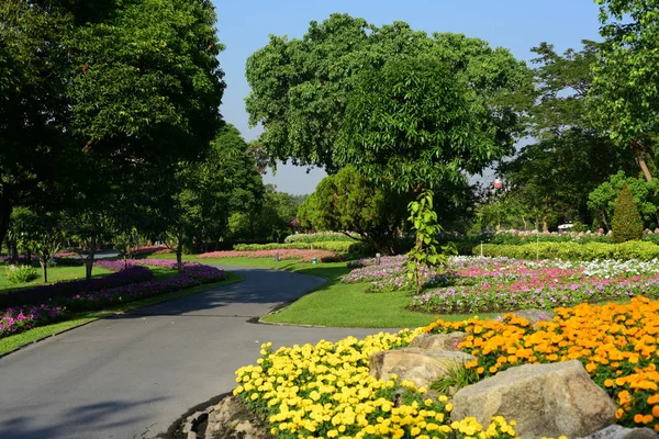 Parque Público Suanluang Rama Asia Tailandiajardines Flores Árboles Varios Colores — Foto de Stock