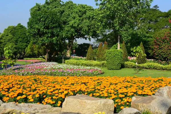 Publiczny Park Gardens Suanluang Rama Asia Thailandflower Drzewa Różnych Kolorów — Zdjęcie stockowe