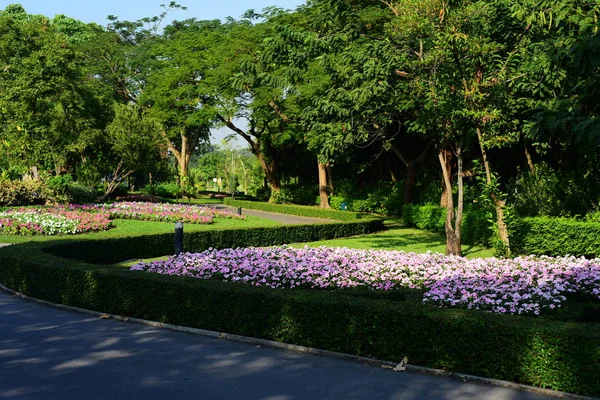 Ogrodnik Podlewa Kwiaty Parku Długości Park Piękny Ogród Kwiatowy Bangkok — Zdjęcie stockowe