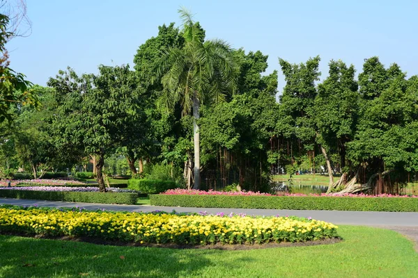 Garden Trees Green Field Blue Sky Background Thailand — Stock Photo, Image