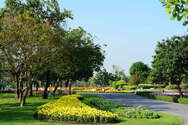 Jardín Con Árboles Campo Verde Sobre Fondo Cielo Azul Tailandia — Foto de Stock