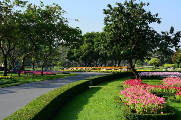 Bahçe Tayland mavi gökyüzü arka plan üzerinde ağaçları yeşil alan