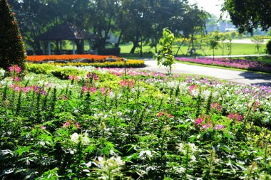 Bahçıvan uzun 9 Park'ta parkta Çiçekleri suluyordum. Bangkok Thailandthe güzel çiçek bahçesinde Bangkok en büyük şehir parkı
