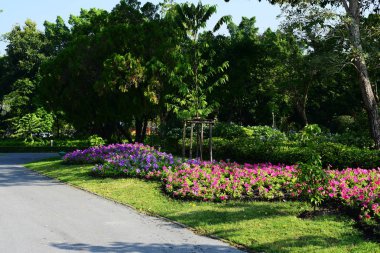 Bahçıvan uzun 9 Park'ta parkta Çiçekleri suluyordum. Bangkok Thailandthe güzel çiçek bahçesinde Bangkok en büyük şehir parkı