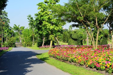 Bahçıvan uzun 9 Park'ta parkta Çiçekleri suluyordum. Bangkok Thailandthe güzel çiçek bahçesinde Bangkok en büyük şehir parkı