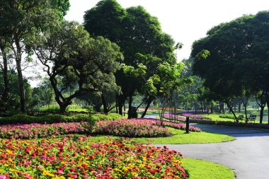 Bangkok Park, Thailand.park bahçede çalılar ve yeşil çimenler ile süsleyin, peyzaj tasarımı için çeşitli hayvan şekilleri ağaç şeklinde