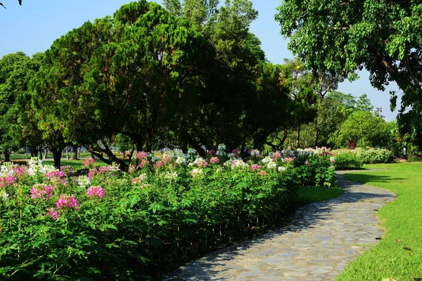 Jardinier Arrose Les Fleurs Parc Long Bangkok Thailandle Beau Jardin — Photo