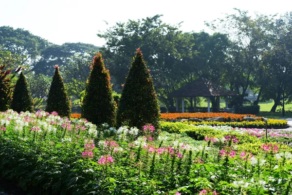 Садовник Поливает Цветы Парке Лонг Bangkok Thailandthe Beautiful Flower Garden — стоковое фото