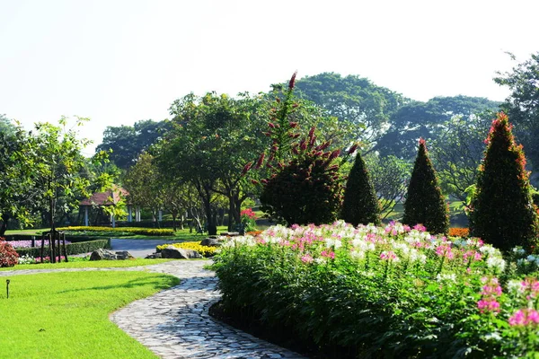 Садовник Поливает Цветы Парке Лонг Bangkok Thailandthe Beautiful Flower Garden — стоковое фото