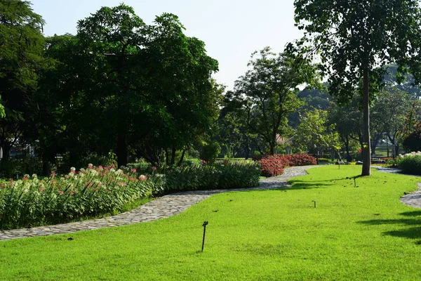Bahçıvan Uzun Park Parkta Çiçekleri Suluyordum Bangkok Thailandthe Güzel Çiçek — Stok fotoğraf