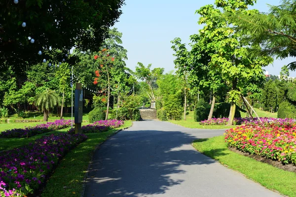 Jardineiro Está Regando Flores Parque Long Park Bangkok Thailando Belo — Fotografia de Stock