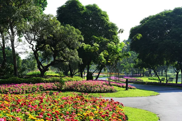 Árbol Tiene Varias Formas Animales Para Decorar Jardín Bangkok Park — Foto de Stock