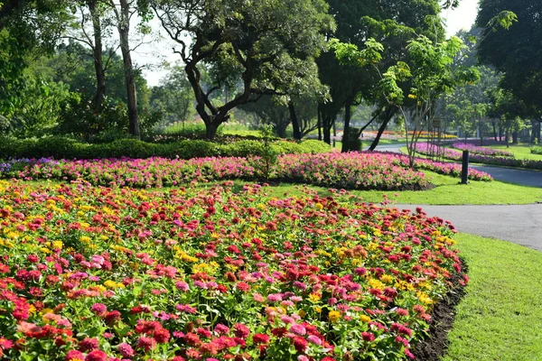 The gardener is watering the flowers at the park at Long 9 Park. Bangkok ThailandThe beautiful flower garden in Bangkok\'s big city park