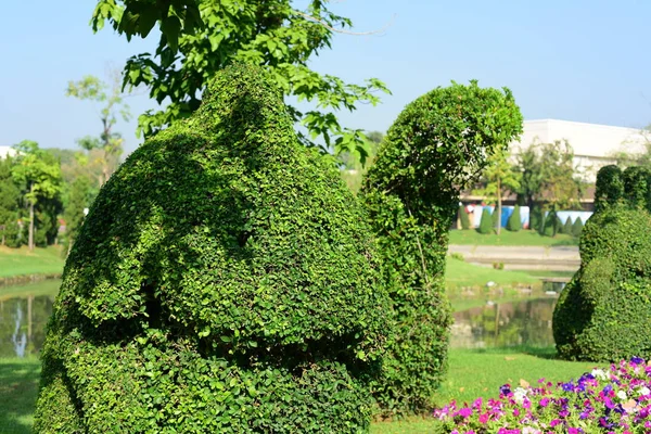 这棵树被塑造成各种动物形状 装饰着泰国曼谷公园的花园 — 图库照片