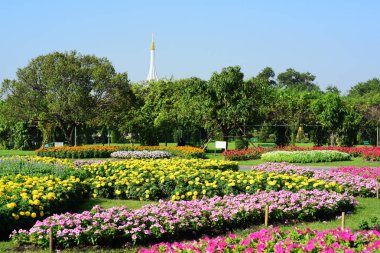 Bahçıvan uzun 9 Park'ta parkta Çiçekleri suluyordum. Bangkok Thailand.The güzel çiçek bahçesinde Bangkok en büyük şehir parkı