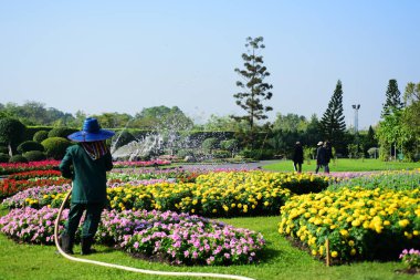 Bahçıvan uzun 9 Park'ta parkta Çiçekleri suluyordum. Bangkok Thailand.The güzel çiçek bahçesinde Bangkok en büyük şehir parkı
