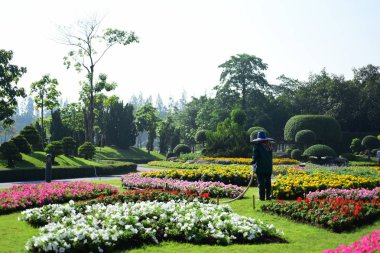 Bahçıvan uzun 9 Park'ta parkta Çiçekleri suluyordum. Bangkok Thailand.The güzel çiçek bahçesinde Bangkok en büyük şehir parkı